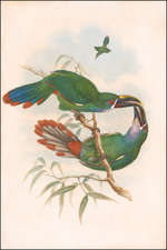 Curiosities Map By William Matthew Hart / John Gould