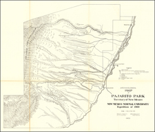 New Mexico Map By Norris Peters Co.