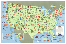 Standard School Broadcast Pictorial Nature Map United States of America