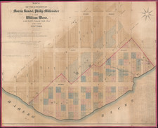 Maps of the Estates of Morris Randel, Philip Milledoler and William Wood.  in the Twelfth (formerly Ninth) Ward of the City of New York