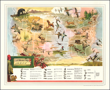 United States and Pictorial Maps Map By Everett Henry