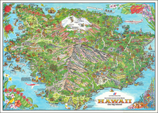 Hawaii, Hawaii and Pictorial Maps Map By Kim Forrest