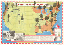 United States and Pictorial Maps Map By American Forest Products Industry