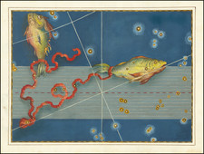 Celestial Maps Map By Johann Bayer