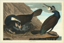 Curiosities and Natural History & Science Map By John James Audubon