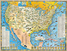 United States and Pictorial Maps Map By Ira Moss