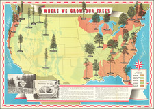 United States and Pictorial Maps Map By American Forest Products Industry