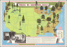 United States and Pictorial Maps Map By American Forest Products Industry