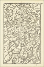 Switzerland Map By Sebastian Munster