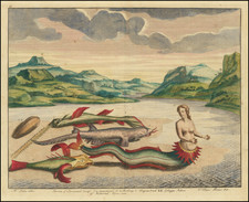 (Mermaid) Meermin of Boeroneesch Zeessijf. . .