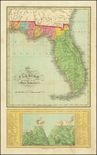 Florida Map By Anthony Finley