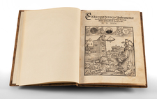 Rare Books and Celestial Maps Map By Sebastian Munster / Hans Holbein