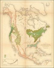 Map Showing the Distribution of Pinus Strobus, P. Palustris, and Pseudotsuga Douglasii in North America exclusive of Mexico. Prepared under the direction of C.S. Sargent, Special Agent.