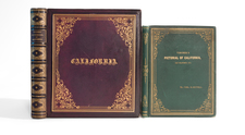 California and Rare Books Map By Edward Vischer