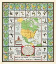 Map of the Surface Feeding Ducks, Swans and Geese of North America