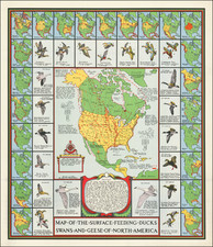 Map of the Surface Feeding Ducks, Swans and Geese of North America