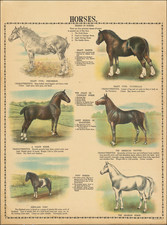 Natural History & Science Map By James McConnell