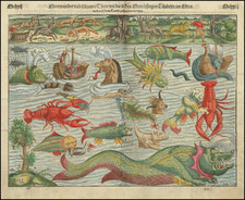 [  Sea Monsters ]  Meerwunder und Seltzame Thier / Wie Die In Den Nitnaecßtigen Laendern im Meer und auf dem Landt gefanden werden By Sebastian Munster