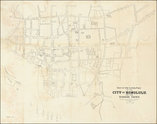 Hawaii and Hawaii Map By A. B. Loebenstein