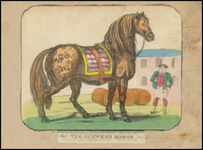 The Brewer's Horse