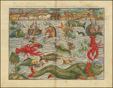 Curiosities Map By Francois De Belleforest