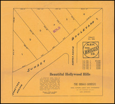 Los Angeles Map By The Briggs Co.