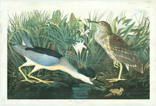 Natural History & Science Map By John James Audubon / Julius Bien