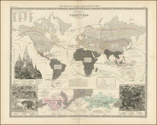 World Map By W. & A.K. Johnston