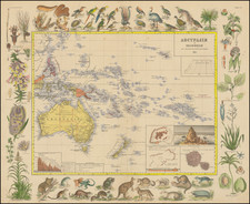 Australia, New Zealand and Other Pacific Islands Map By Julian Ivanovich  Simashko