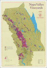 San Francisco & Bay Area Map By Carto Graphics