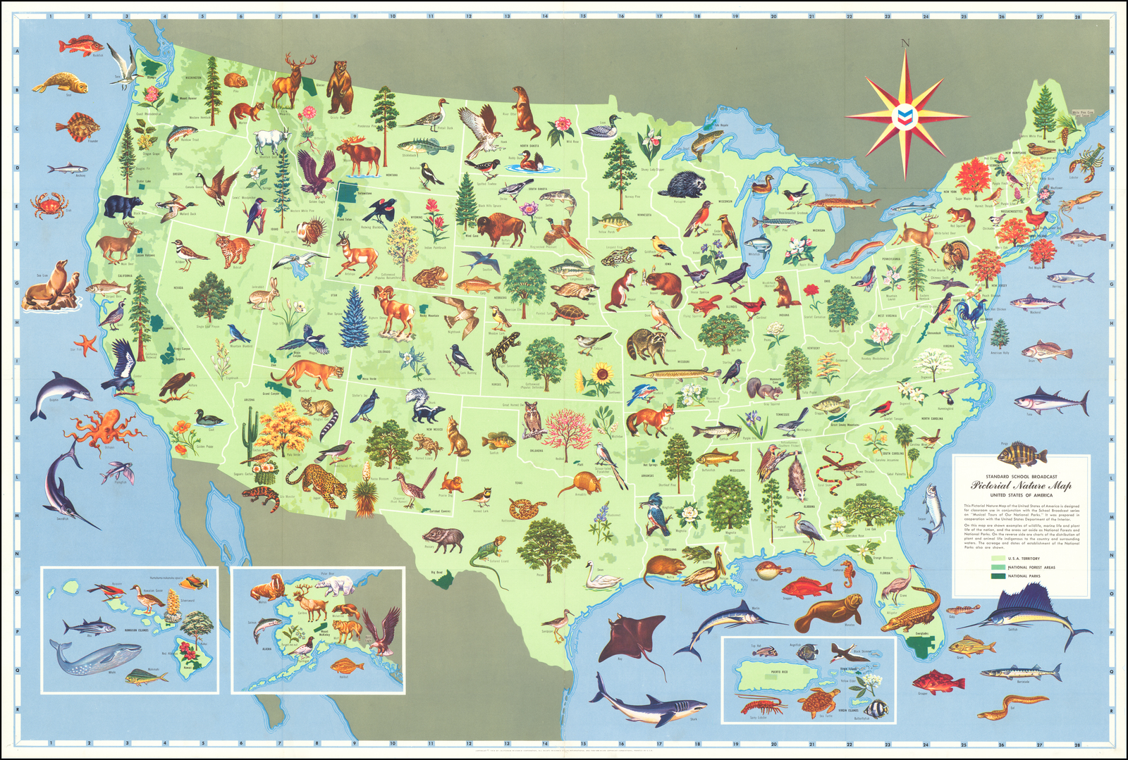 Nature On The Map Standard School Broadcast Pictorial Nature Map United States Of America -  Barry Lawrence Ruderman Antique Maps Inc.