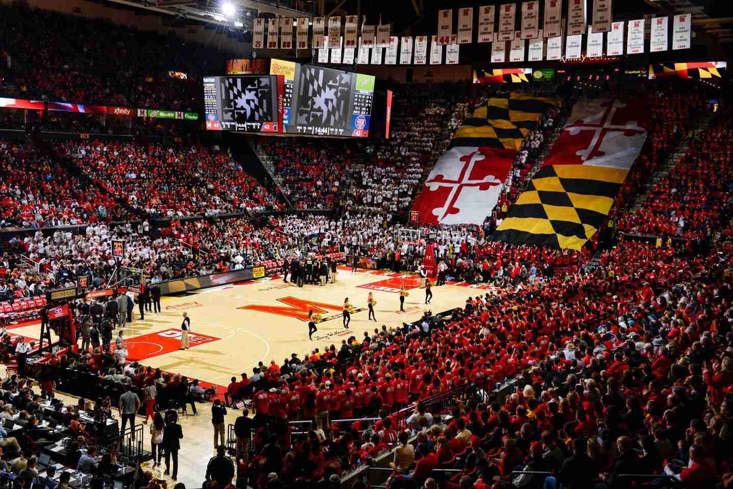 Terrapins stadium