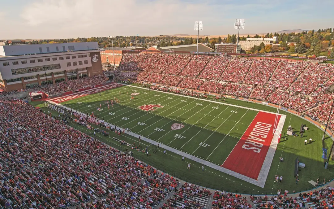 Martin Stadium - Image 1