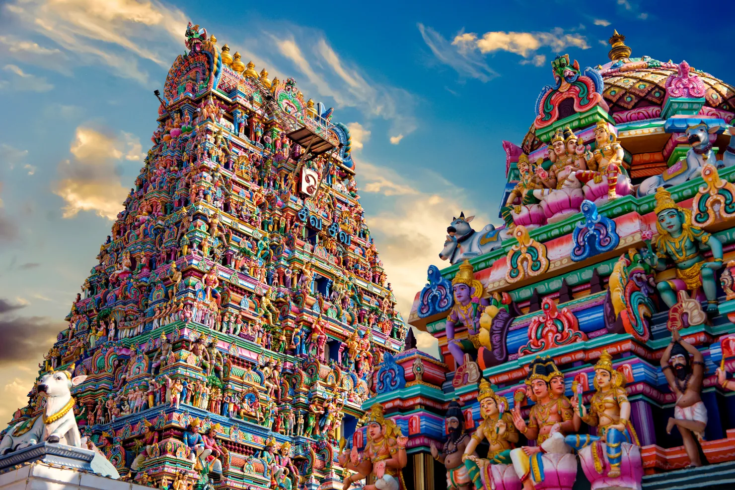 Gopura in the Hindu Kapaleeshwarar Temple, Chennai, Tamil Nadu, South India