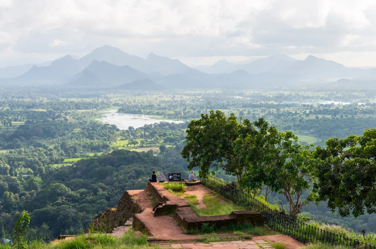 Serpentine in the mountains, Sri Lanka, Asia