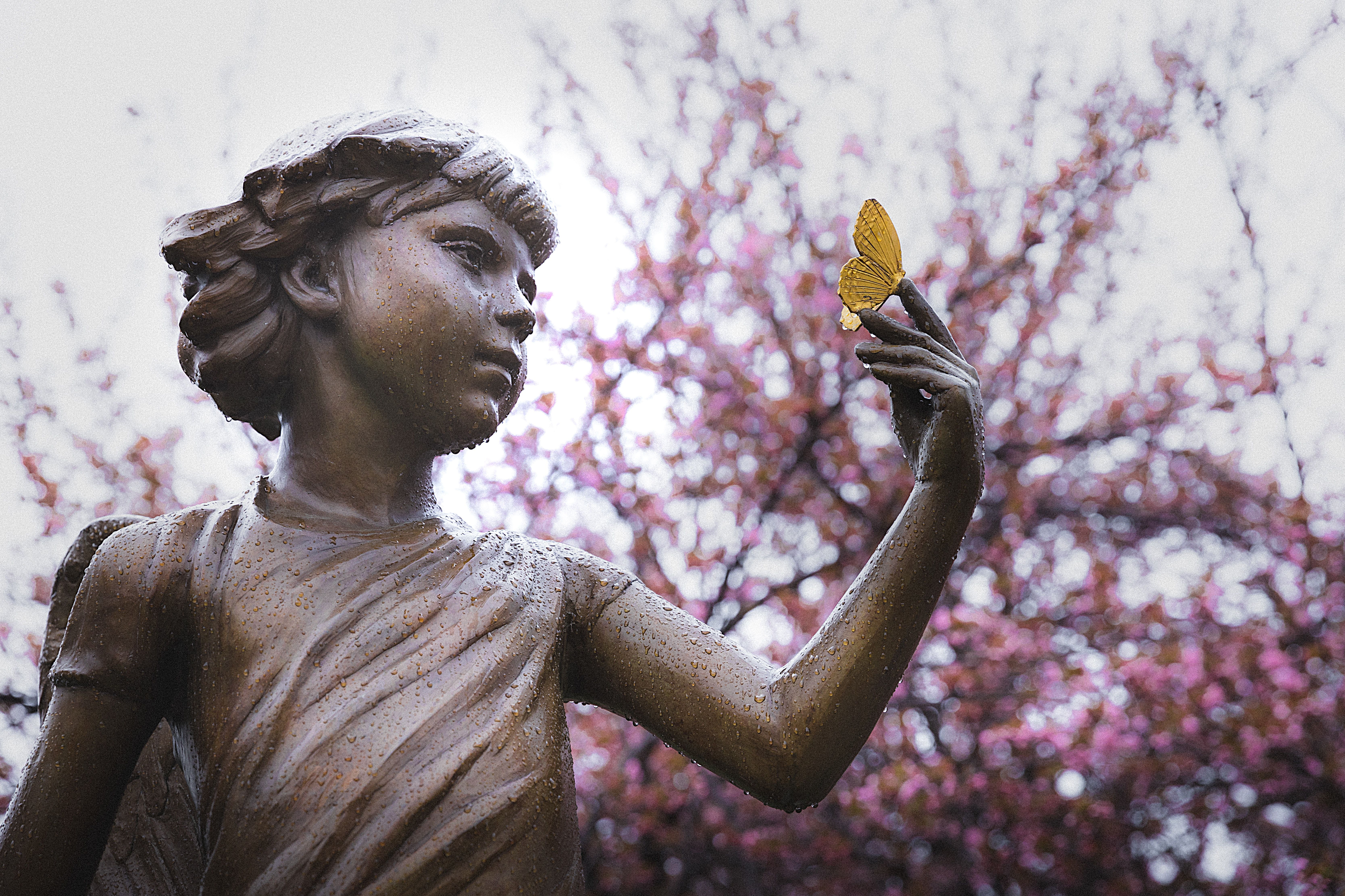 congressional cemetery photo made by dan mall. RatePunk writes about the National cherry blossom festival in Washington