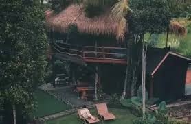 Dreamy Eco Tree House by 7 Waterfalls