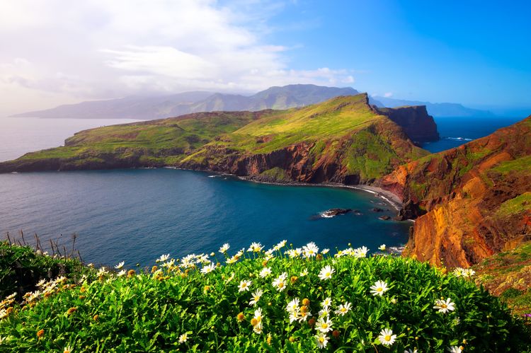 Ratepunk | Madeira: Your Next Must-Visit European Destination