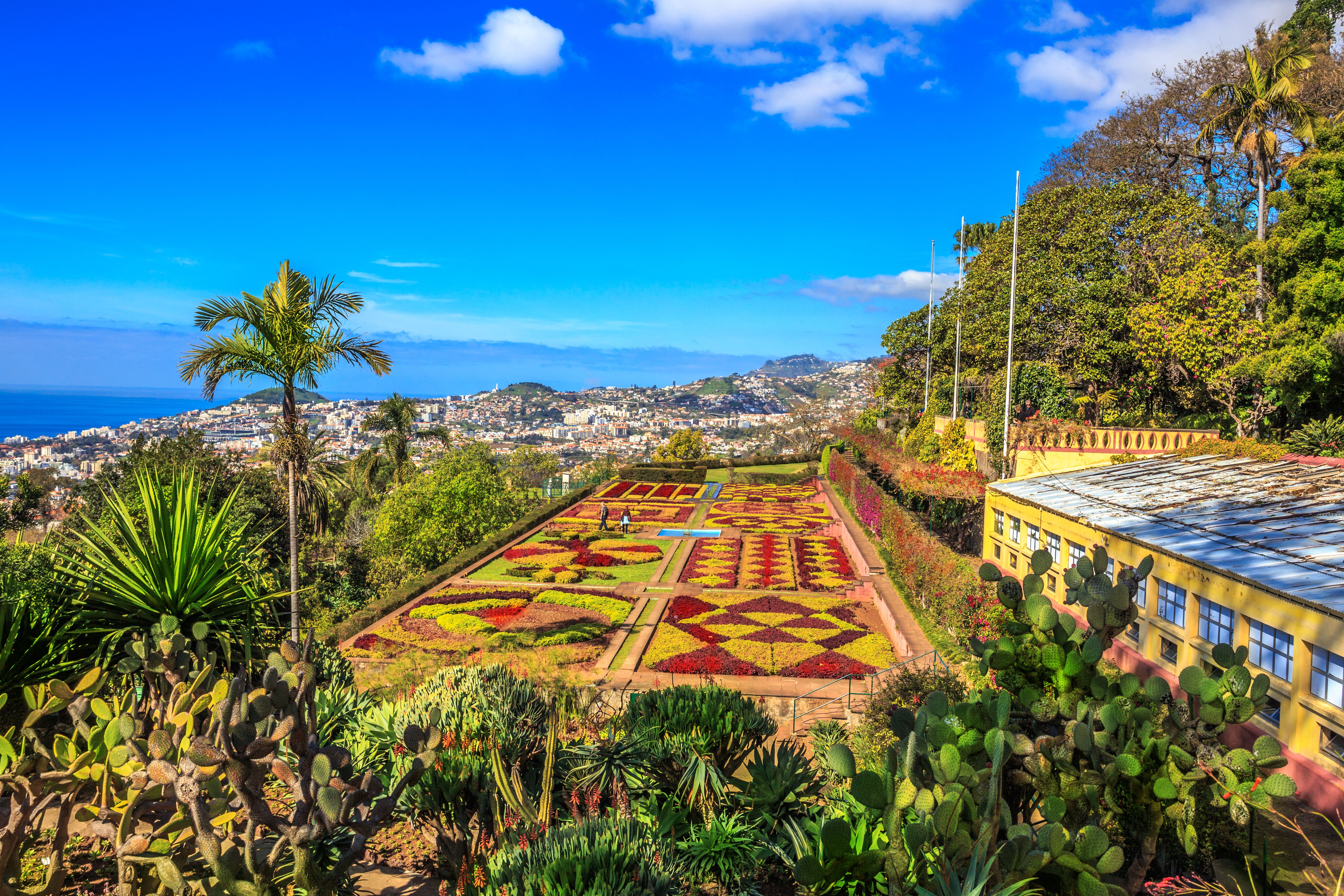 Madeira: Your Next Must-Visit European Destination - botanical garden in  Madeira - featured by ratepunk