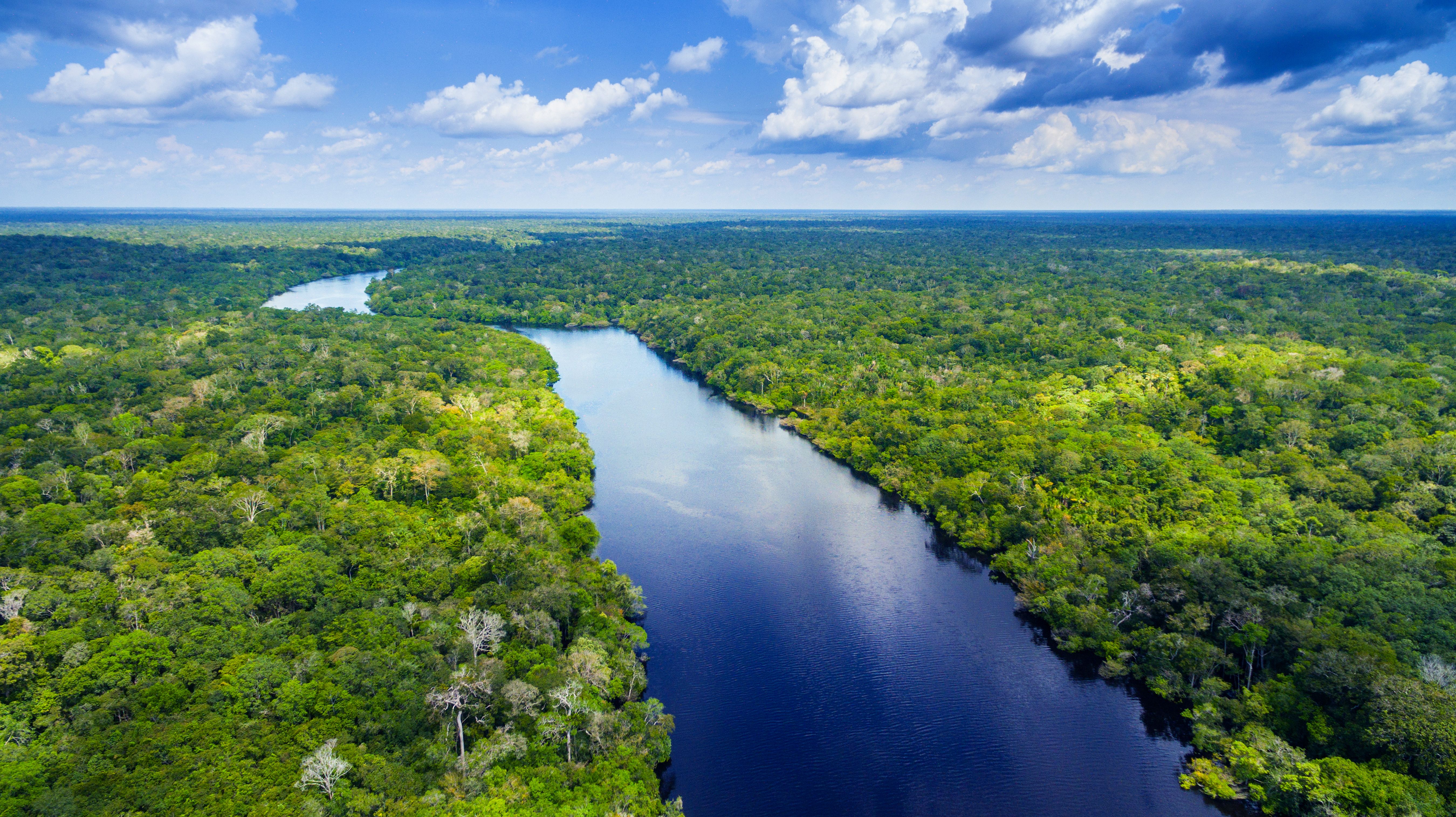 Amazon rainforest, Brazil