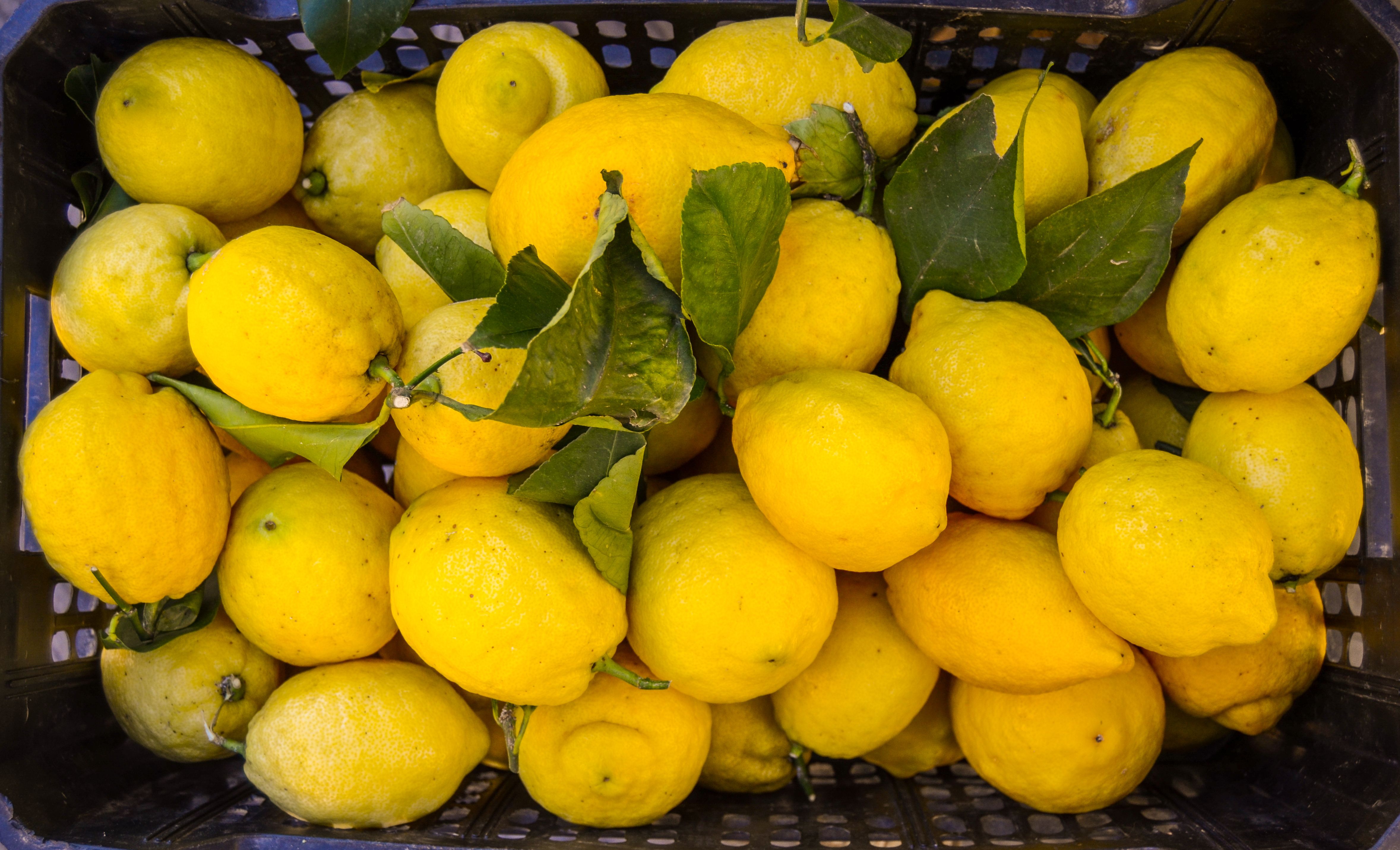 Dreamy Destination - Amalfi Coast -  Lemon Festival