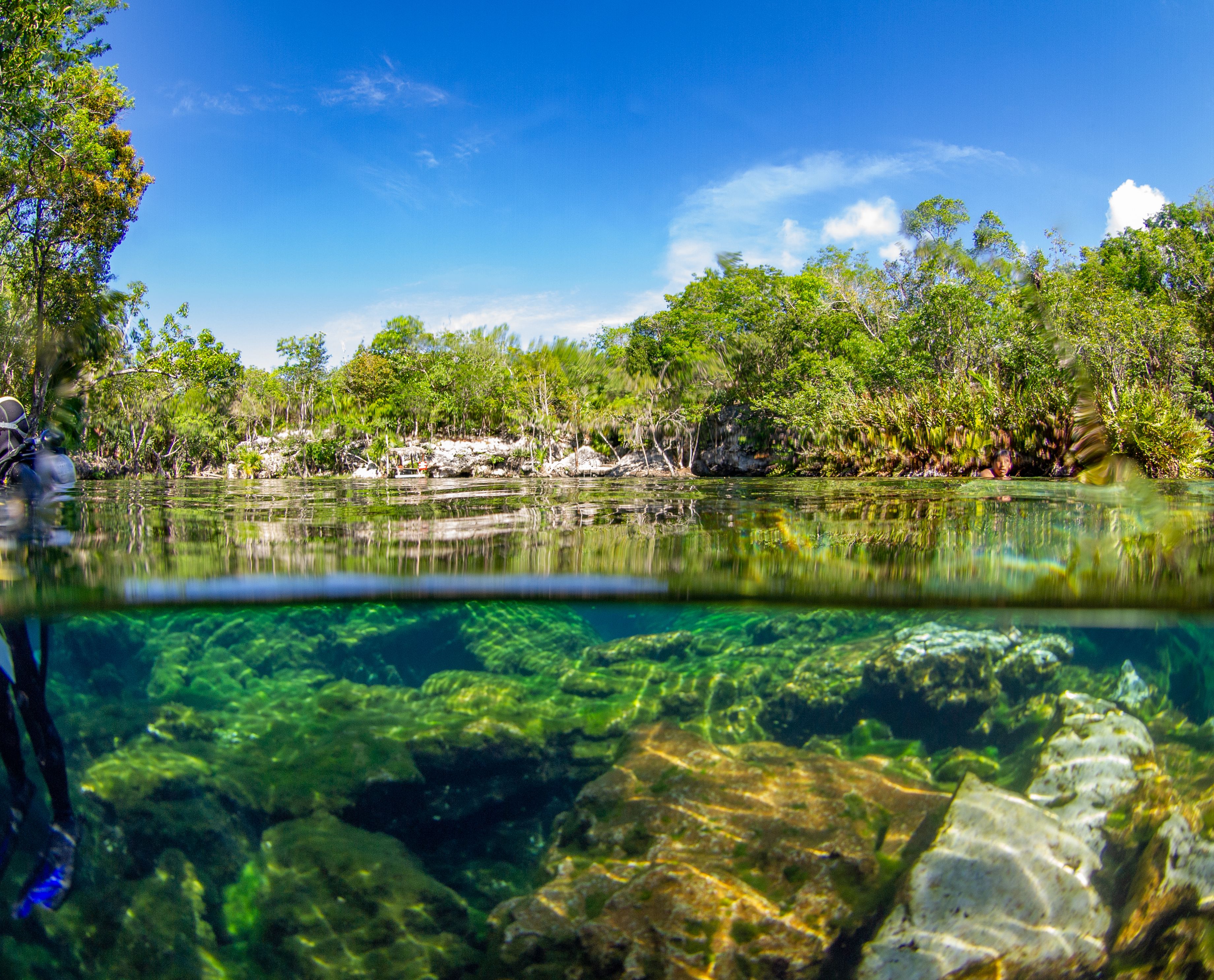 Cenote Jardin del Eden, mexico