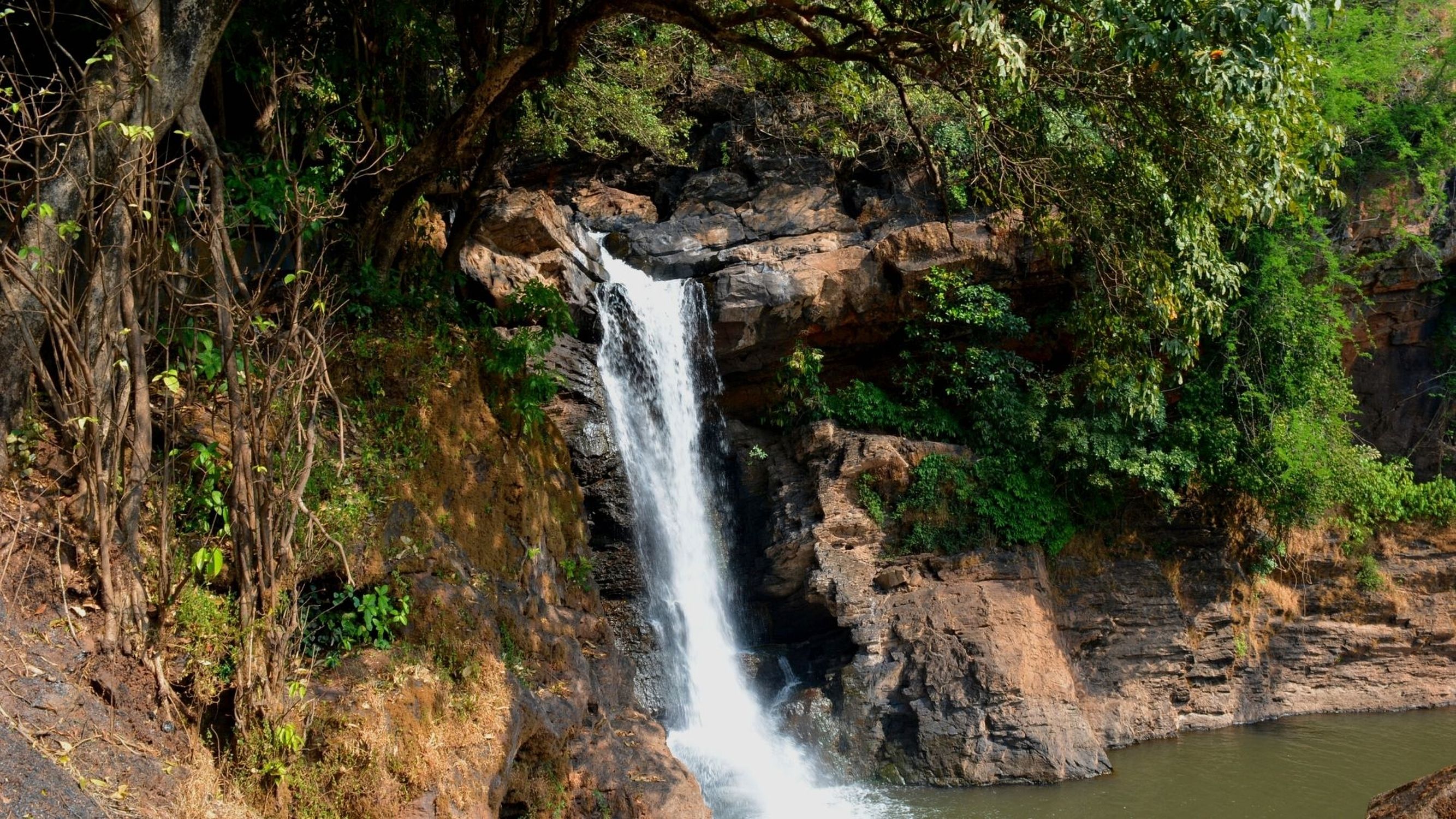 Harvalem Waterfalls  - gao india's coastal paradise - best places to visit 