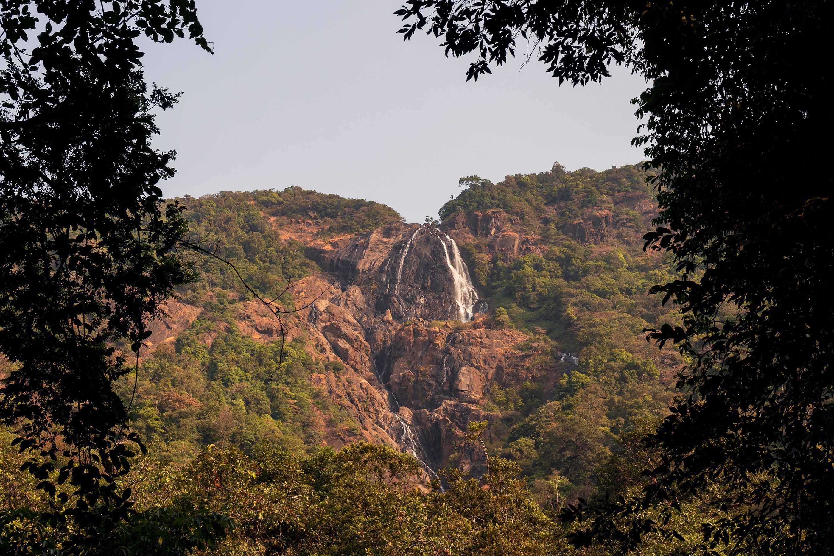 .Mollem National Park & Bhagwan Mahavir Wildlife Sanctuary - gao india's coastal paradise - best places to visit 