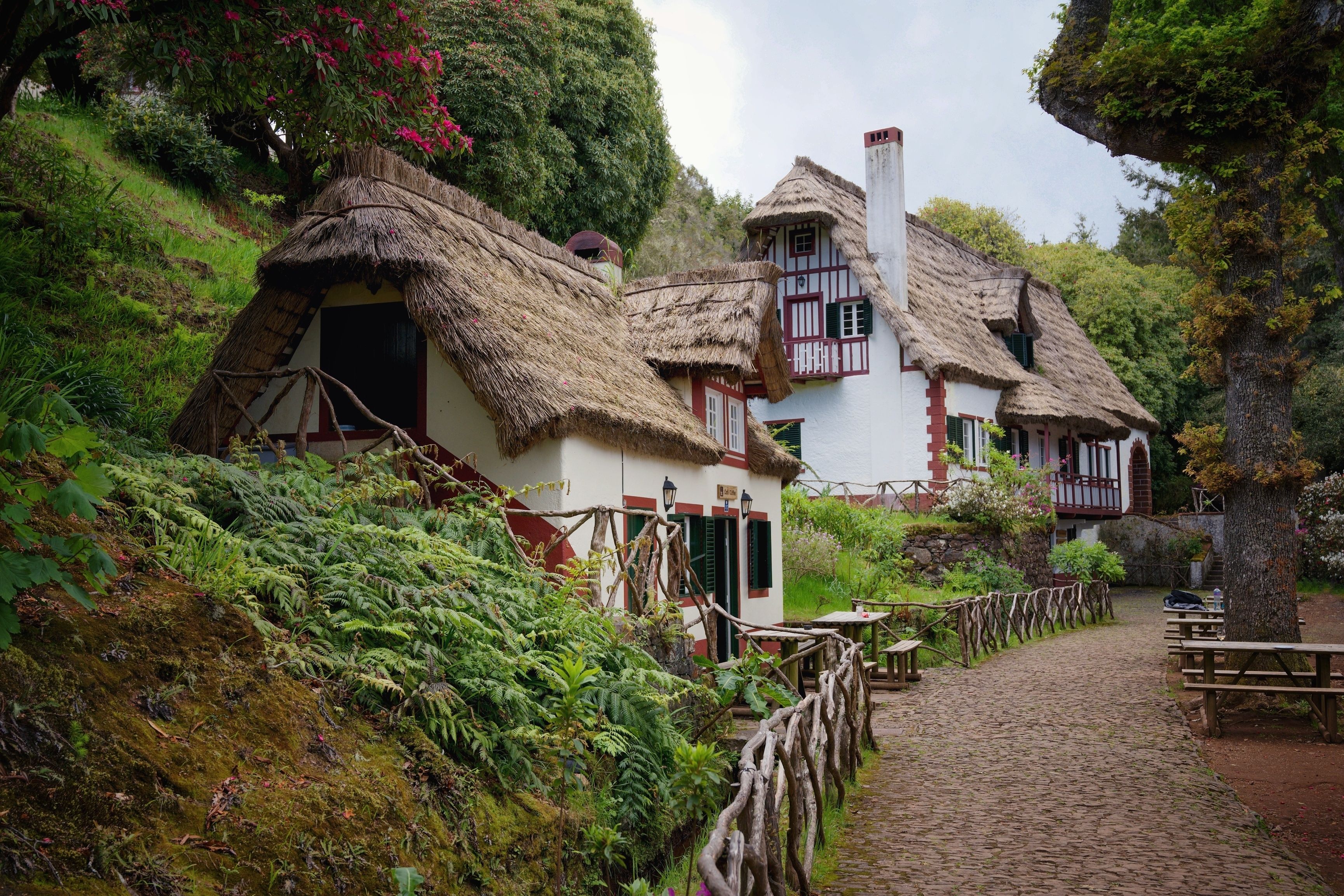 Madeira: Your Next Must-Visit European Destination -Queimadas Forest Park Madeira - featured by ratepunk