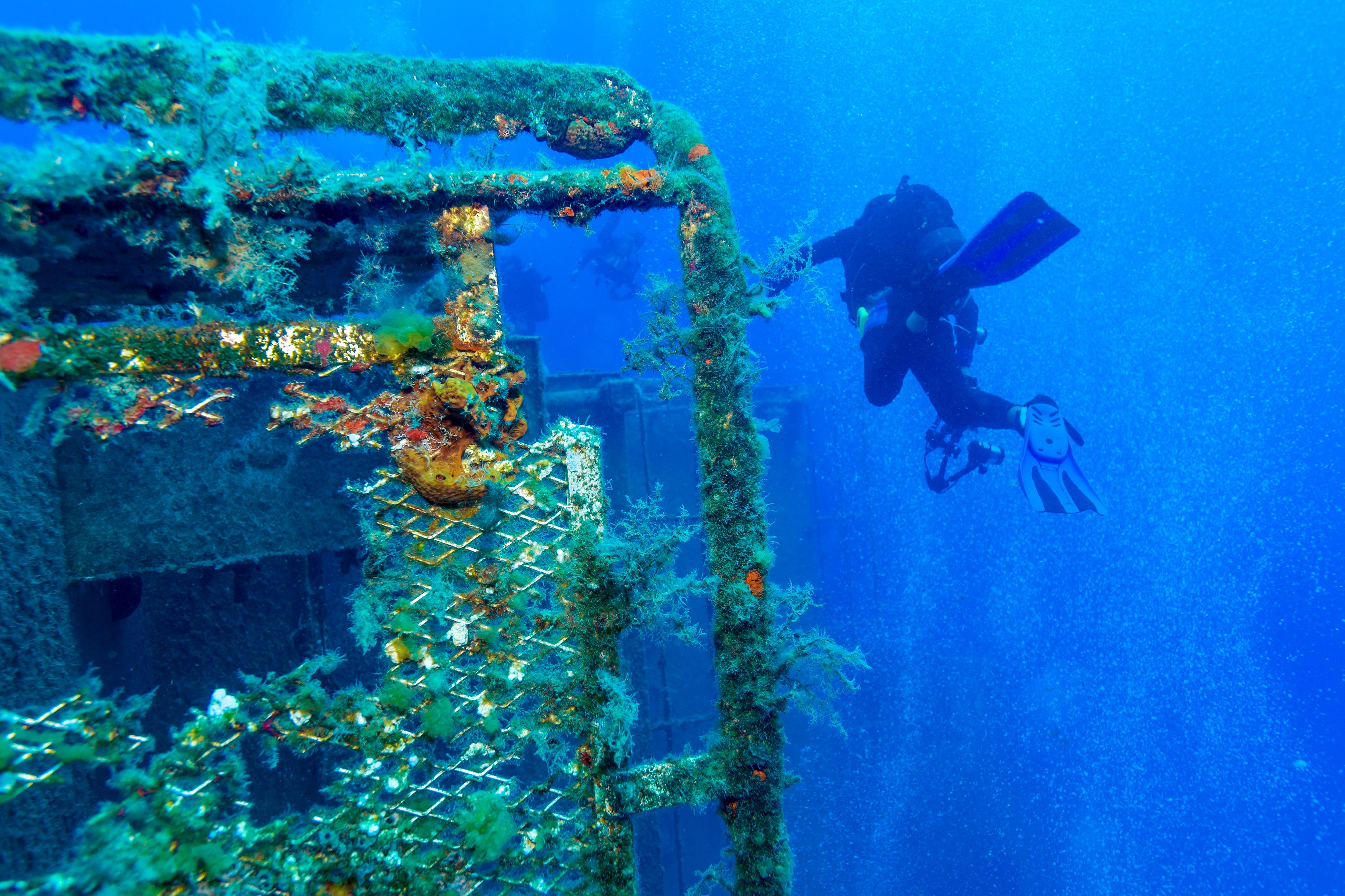 Best Diving Sites in Europe | RatePunk - Zenobia