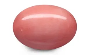 NATURAL CORAL