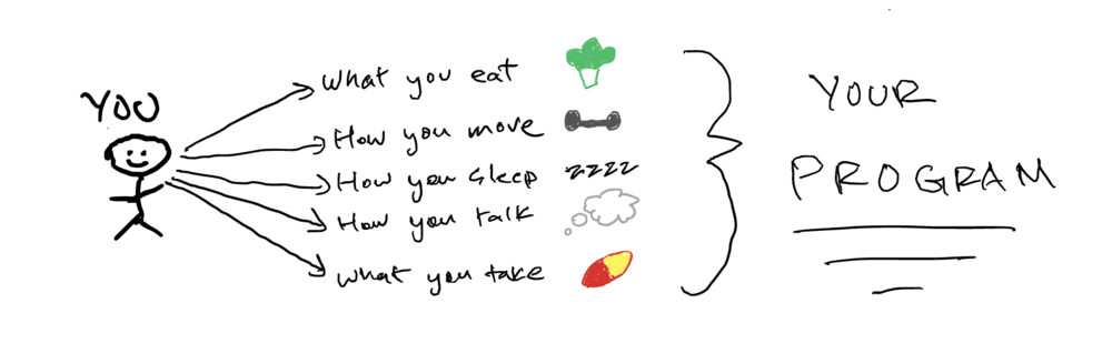 your program