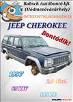 Jeep Cherokee (XJ) bontott alkatrészei (23/169)