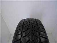 Dunlop Wintersport 5 225/65 R17 